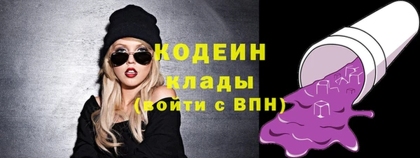хмурый Арсеньев
