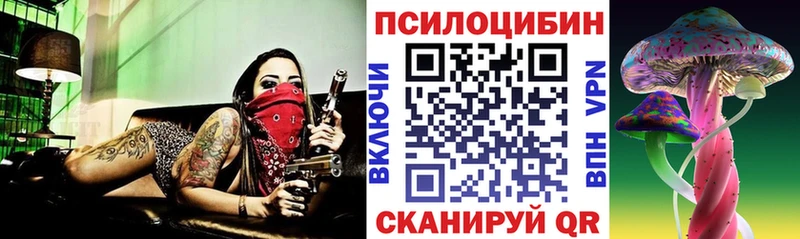продажа наркотиков  Тара  Псилоцибиновые грибы Psilocybine cubensis 